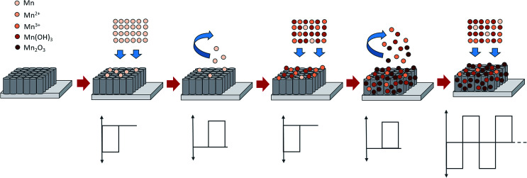 Fig. 3