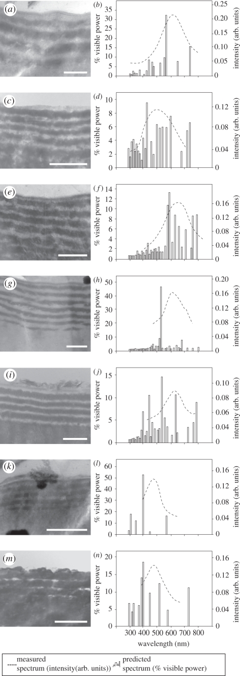 Figure 4.