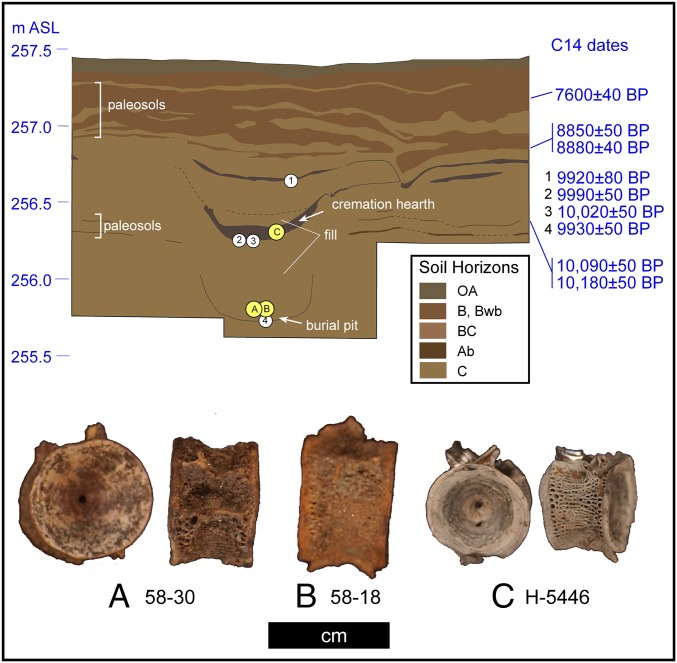 Fig. 2.