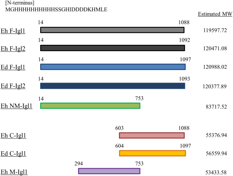 Fig 1