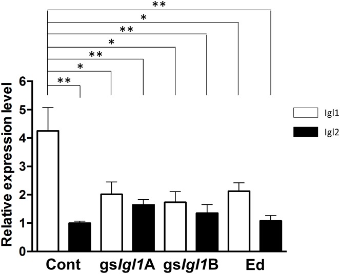 Fig 5