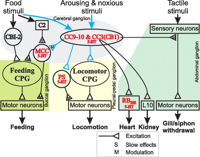 Figure 11.