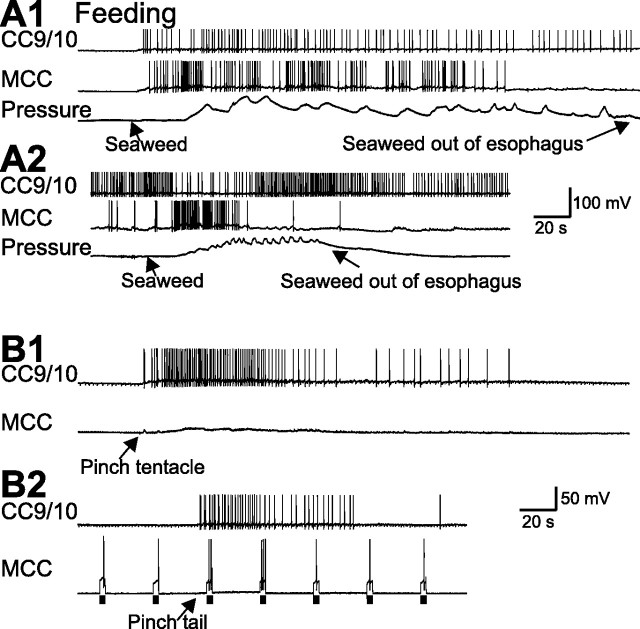 Figure 10.