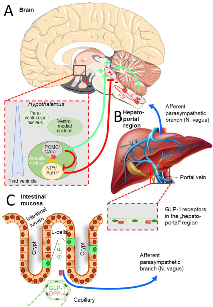 Figure 6