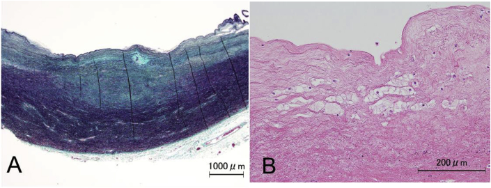 Fig. 8