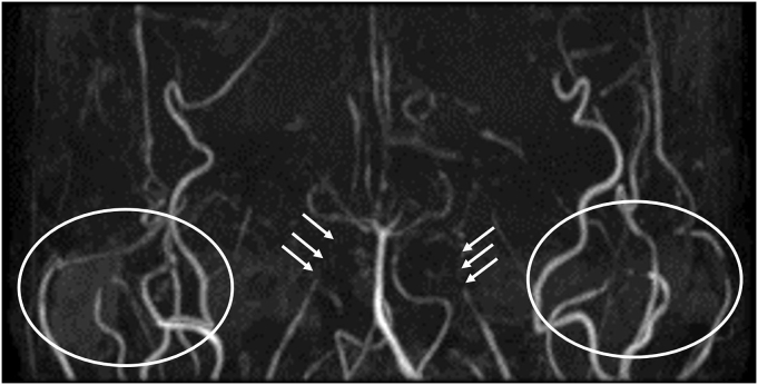 Fig. 5