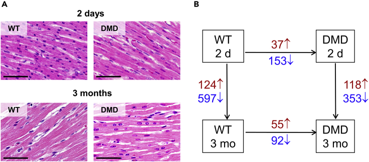 Figure 4