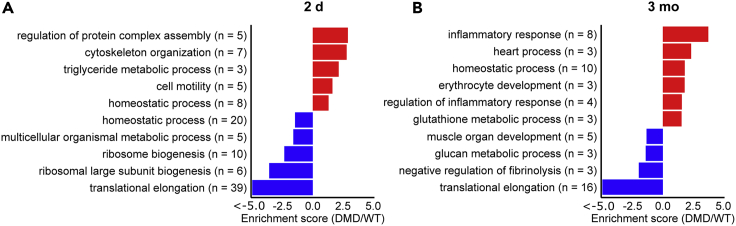 Figure 5