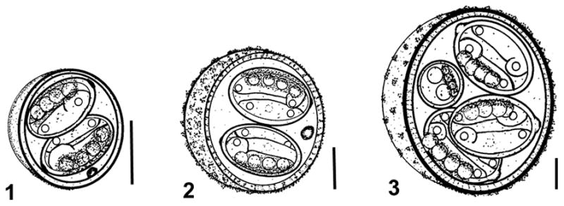 Figs. 1–3