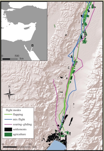 Figure 1.