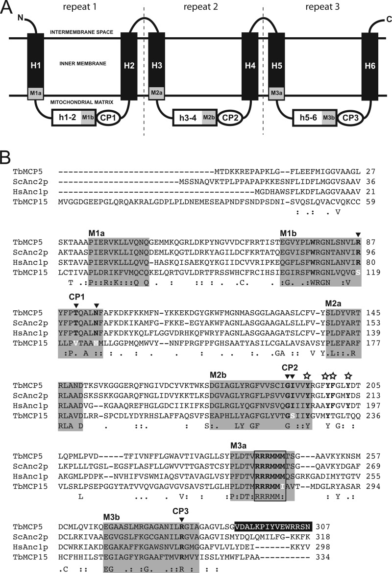 FIGURE 1.