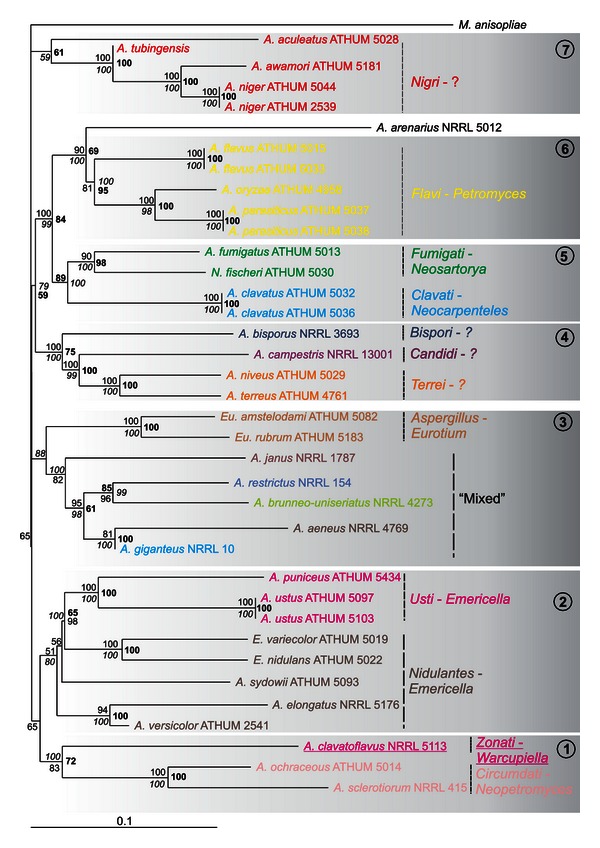 Figure 6