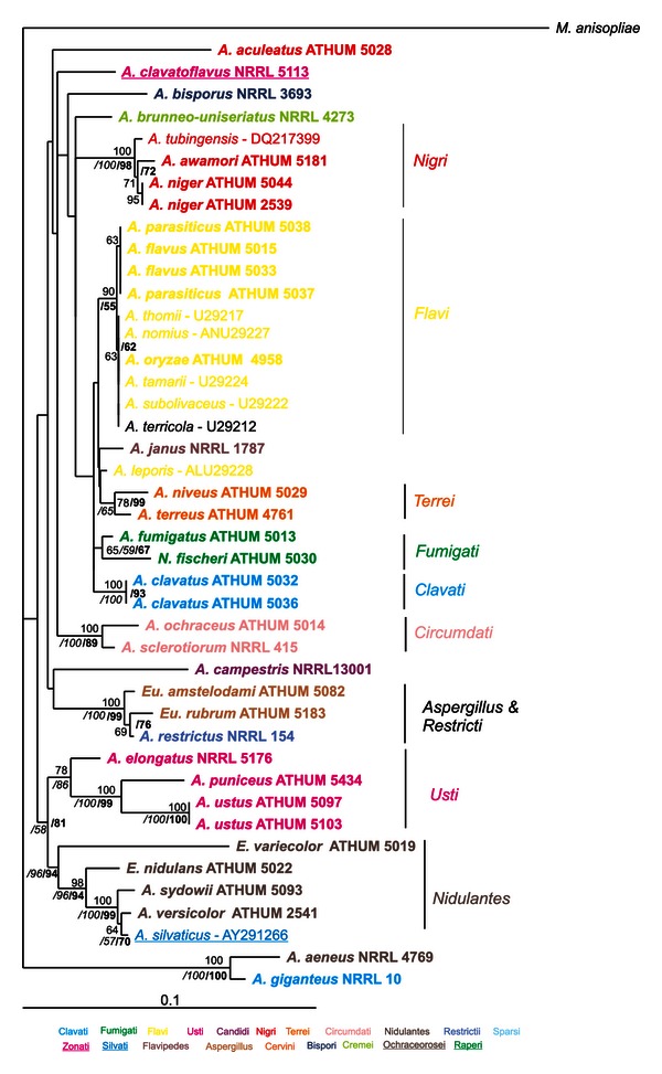 Figure 5