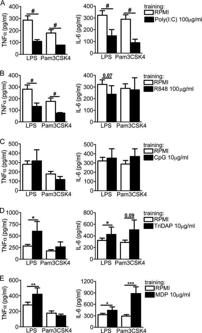 FIG 2