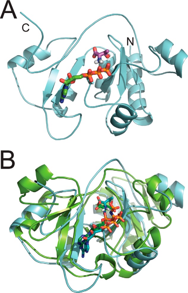 FIGURE 7.