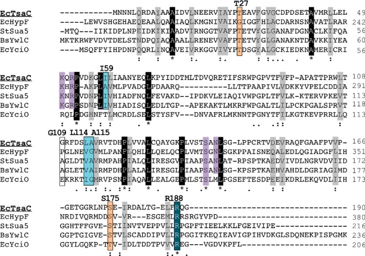 FIGURE 9.