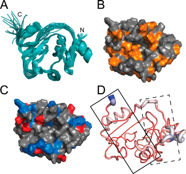 FIGURE 3.