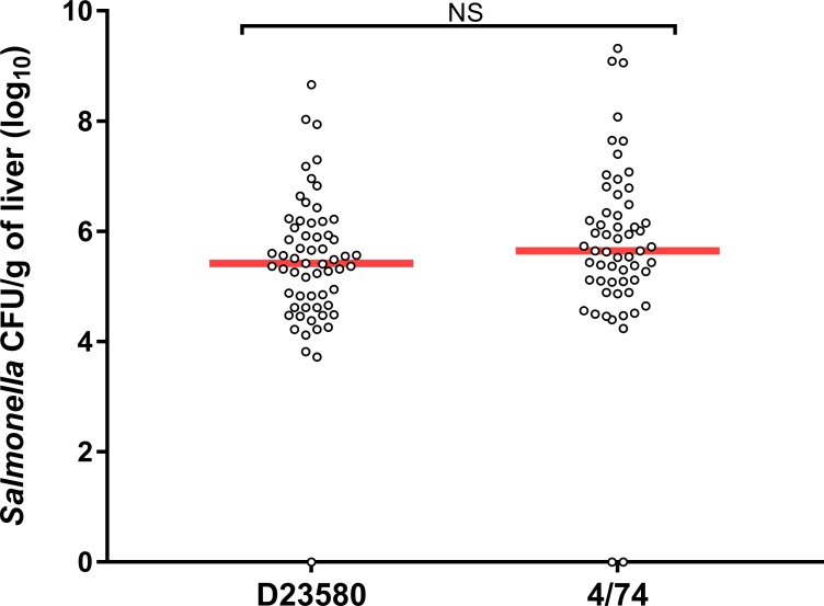 Fig 5