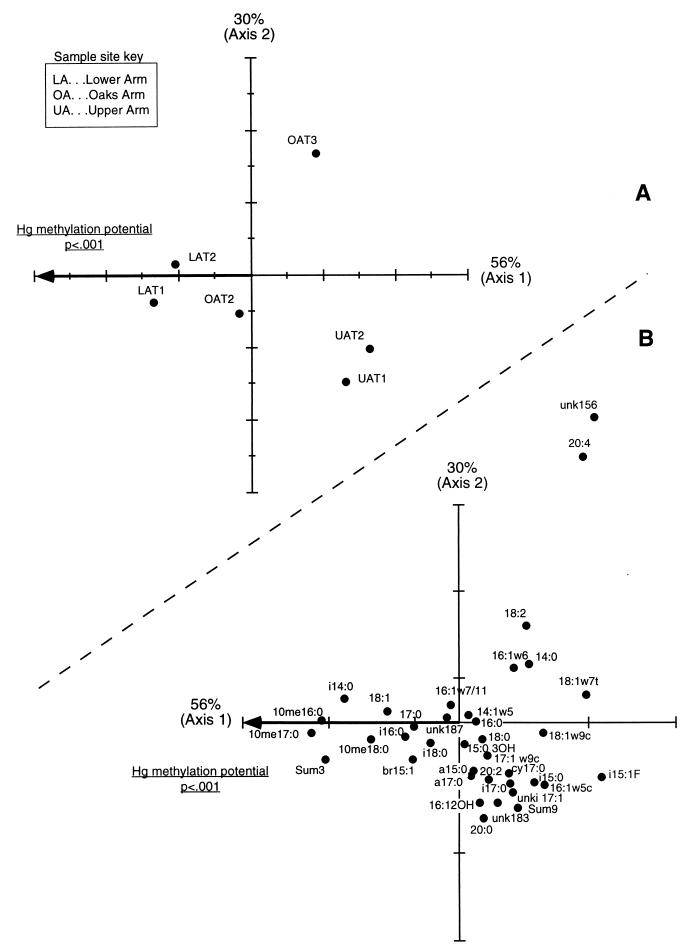 FIG. 6