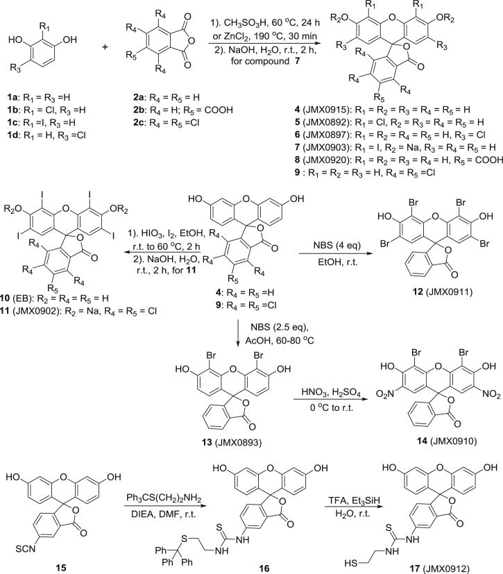 Scheme 1