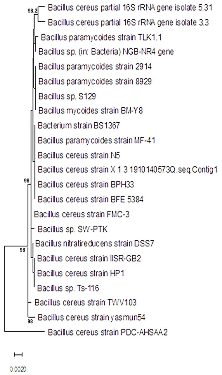 Figure 2