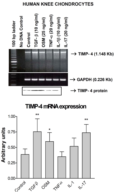 Fig. (3)