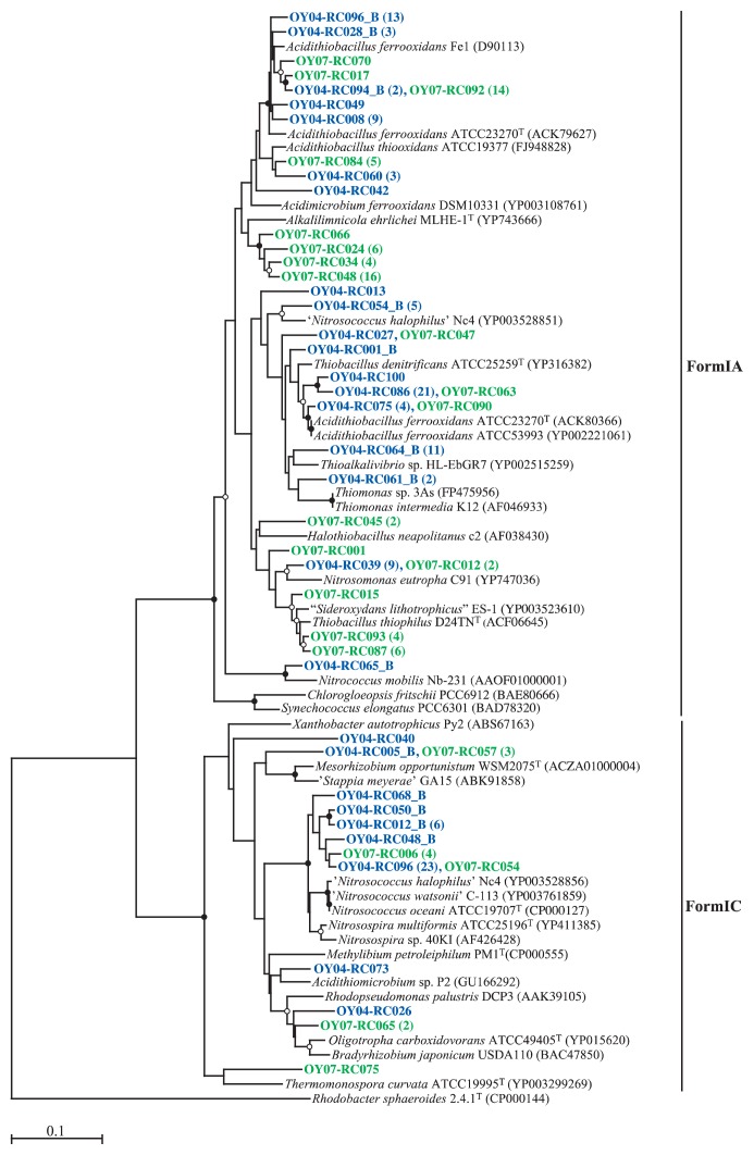 Fig. 6