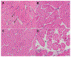 Fig. 5.