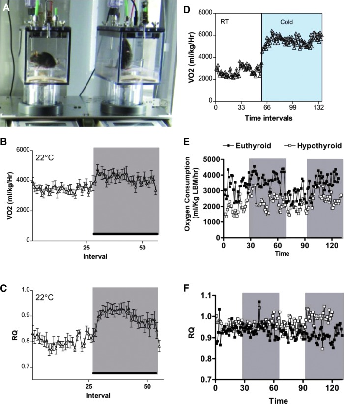 FIG. 16.