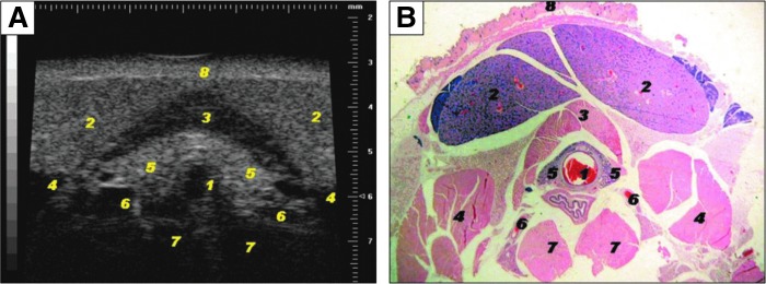 FIG. 7.