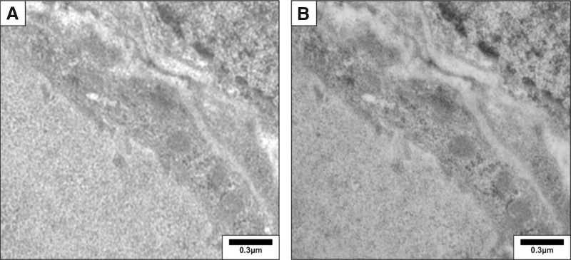 FIG. 5.