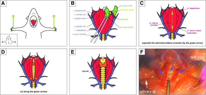 FIG. 11.