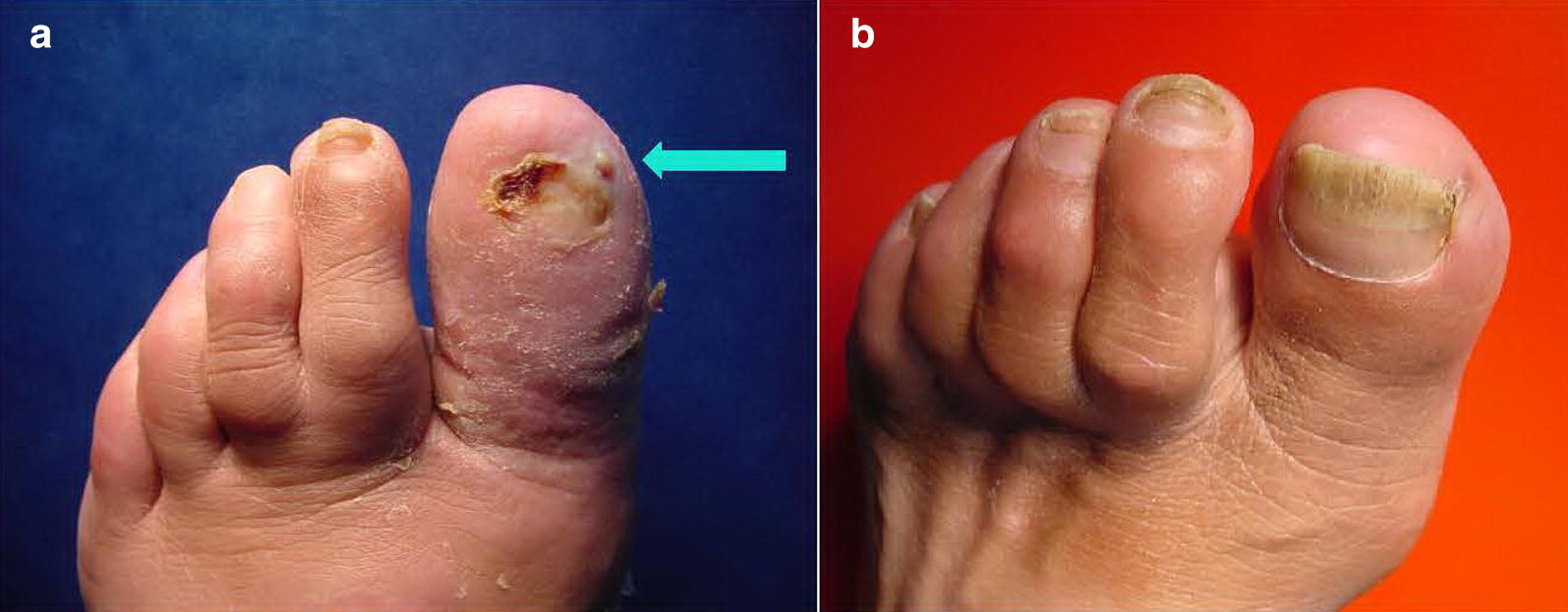 Fig. 1