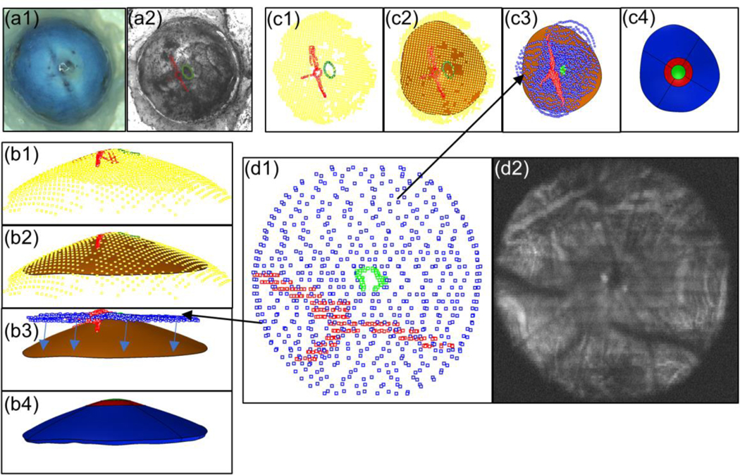 Fig. 3