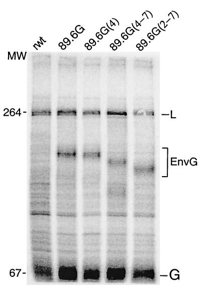 FIG. 5.