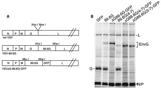 FIG. 8.