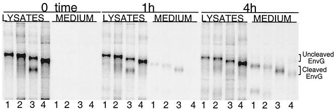 FIG. 7.