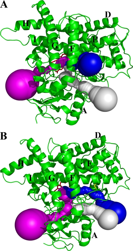 FIGURE 4.