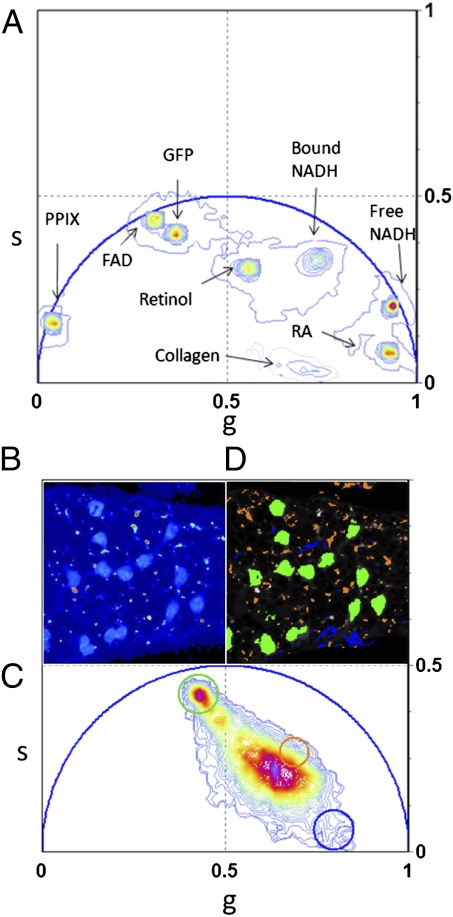 Fig. 2.