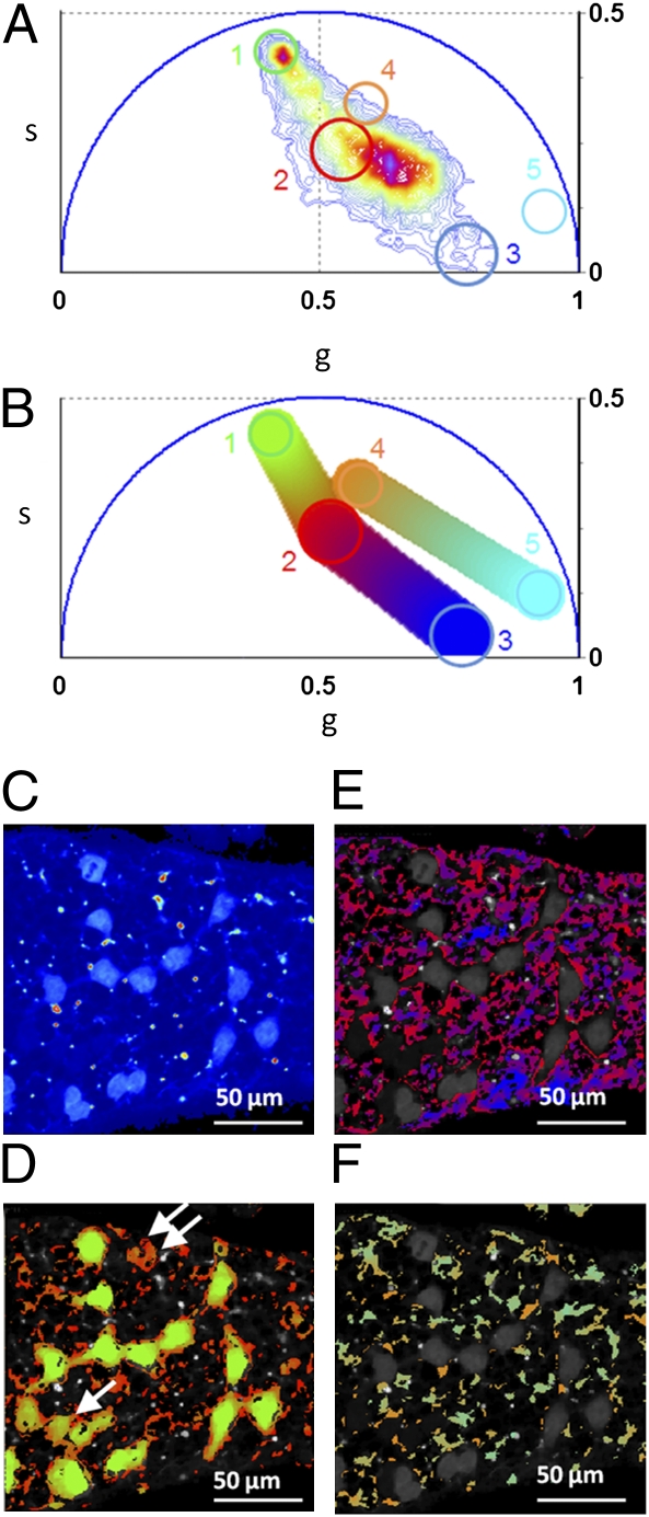 Fig. 3.