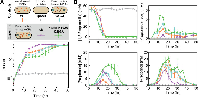 FIG 6