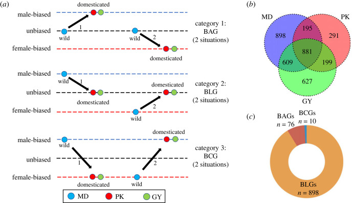 Figure 3. 