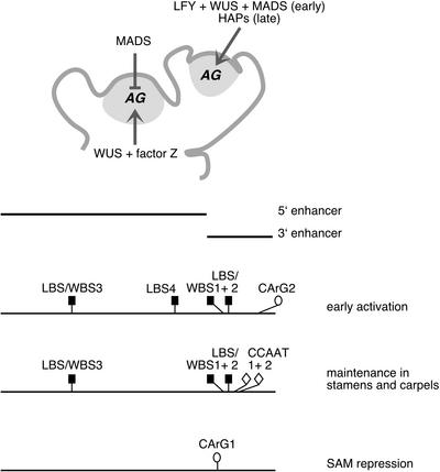 Figure 9.