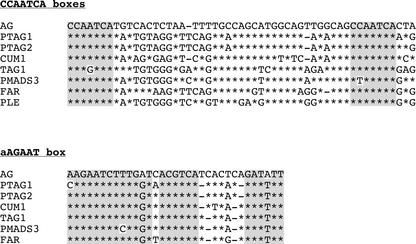 Figure 7.