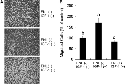 FIGURE 4 