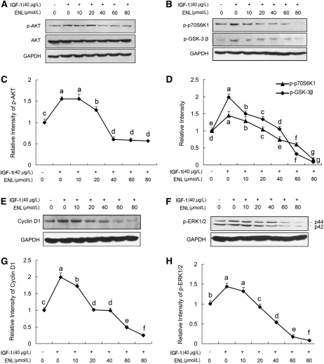 FIGURE 2 