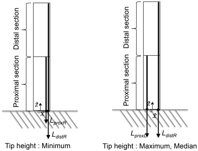 Fig. 10