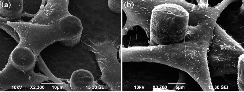 Fig. 7