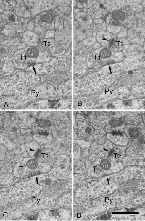 Fig. 3.