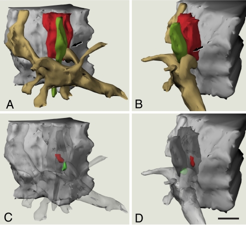 Fig. 4.